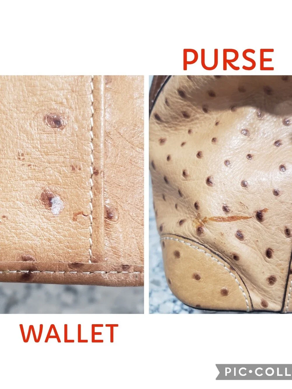 DOONEY & BOURKE Ostrich Embossed Leather Shoulder Satchel Set In Peanut
